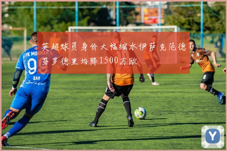英超球员身价大幅缩水伊萨克范德芬罗德里均降1500万欧